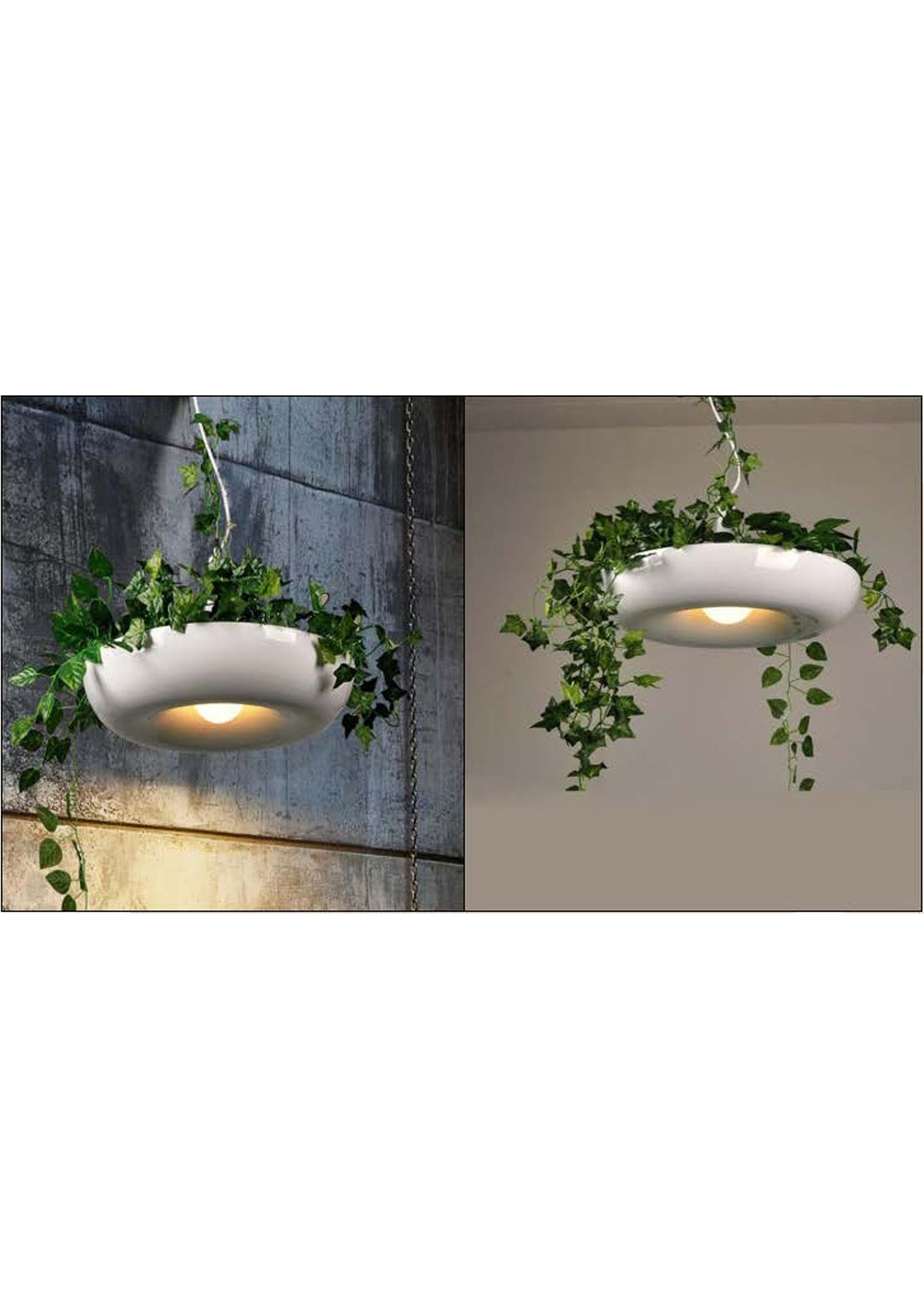 Beyond Lights - Bowl Pendant Light- GL